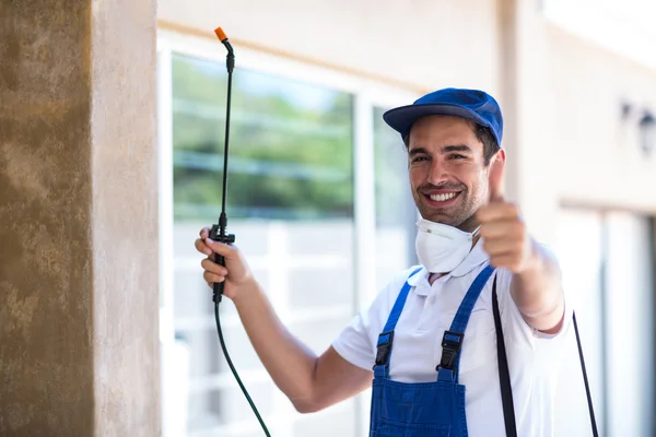Grove City Wasp Removal