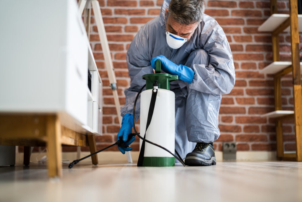 Grove City Spider Control