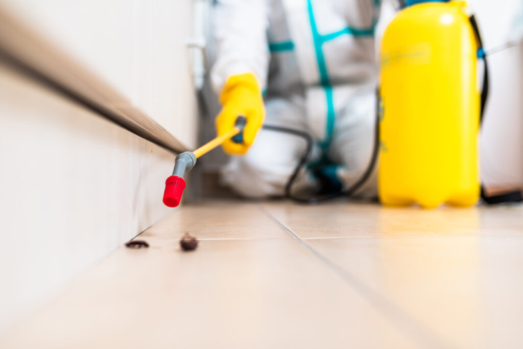 Grove City Cockroach Experts