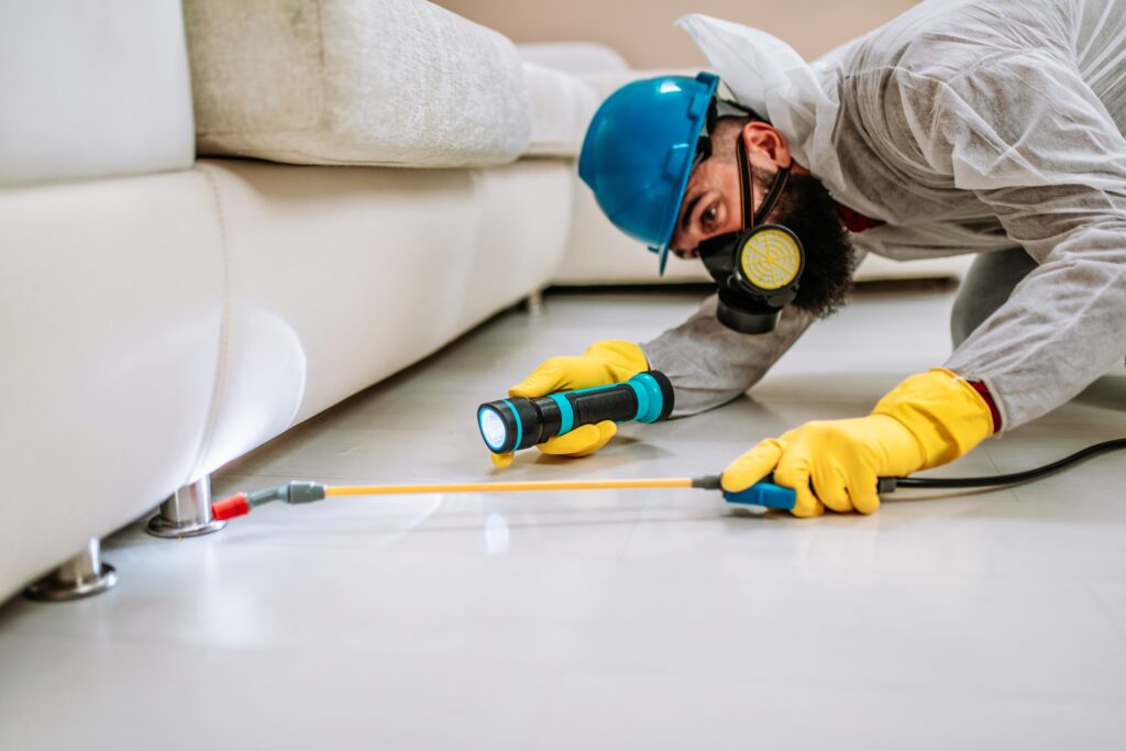 Grove City Termite Control